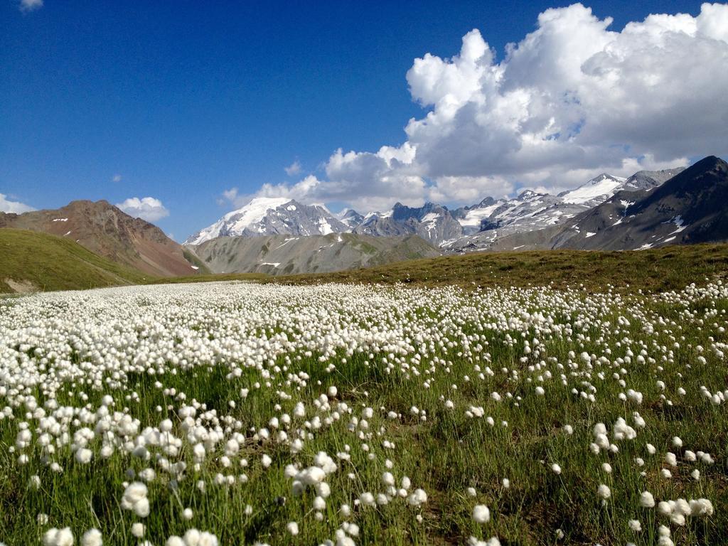 Albergo Quarto Pirovano Passo Stelvio Kültér fotó